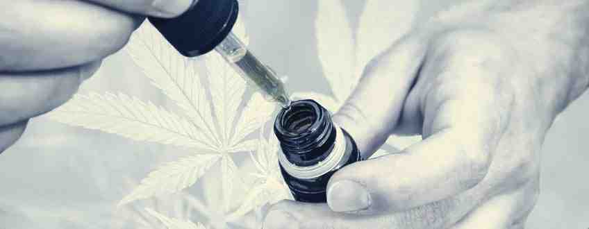 Comment avoir du CBD ?