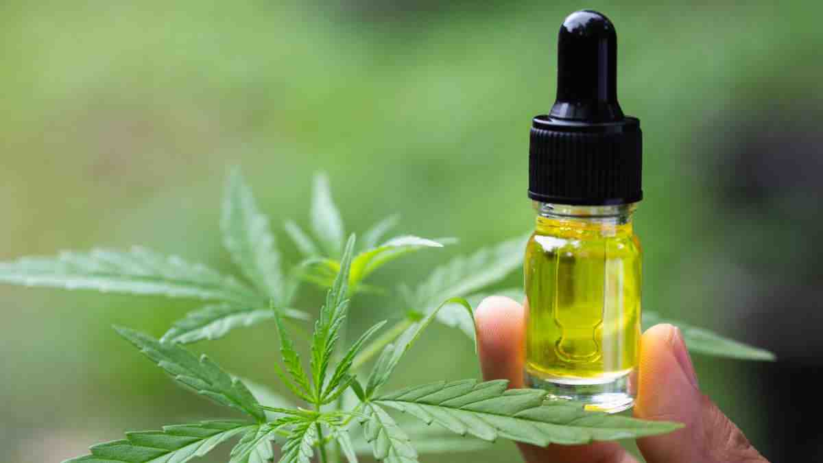 Où acheter du cbd sans thc ?